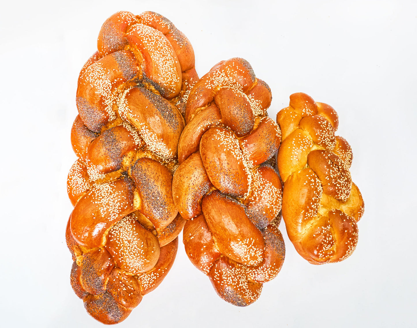 6lb - SUPER WOW Brooklyn Challah: The Ultimate Brooklyn Gift